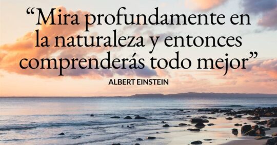 Una mirada a la visión de Albert Einstein sobre la preservación del medio ambiente