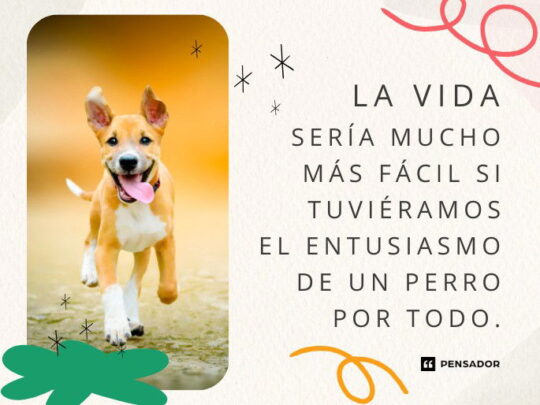 10 Frases del Perro que te har&aacute;n reflexionar sobre la lealtad y el amor