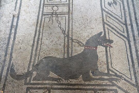 10 hermosos nombres griegos para perritas que te encantaran76
