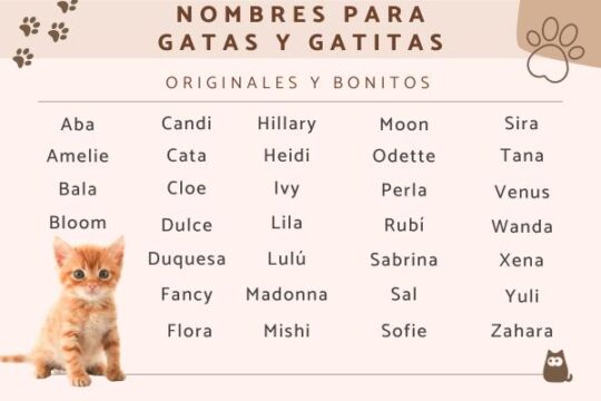 Reflexión
