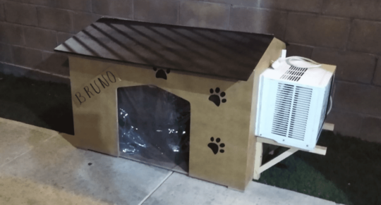 5 ideas creativas para construir casetas para perros en casa 3 Actividades divertidas para disfrutar en casa con tu fiel compañero canino