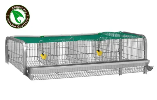 Una gu&iacute;a completa sobre la alimentaci&oacute;n de los pollos de perdiz: todo lo que necesitas saber