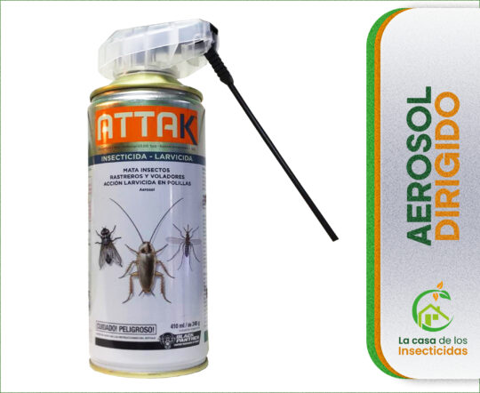 6 formas efectivas para controlar los insectos voladores en tu hogar 3 5. Plantas repelentes