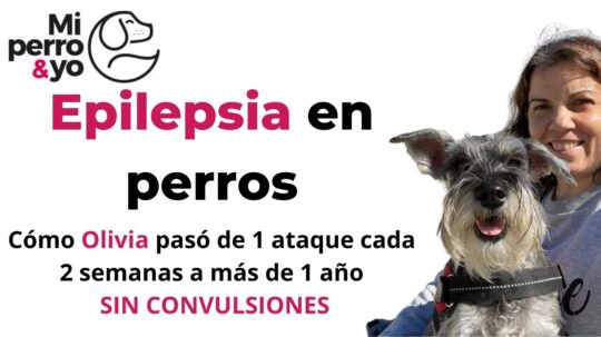 El uso adecuado de gabapentina en perros: una gu&iacute;a para dosificar correctamente