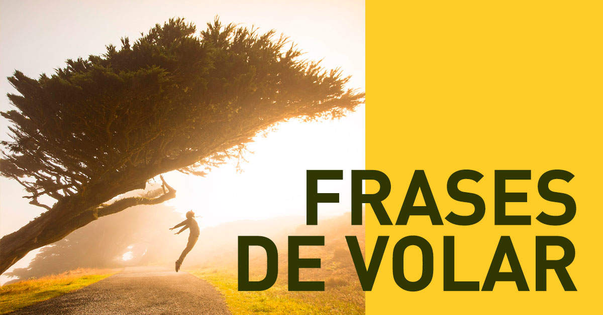 Las mejores frases inspiradoras para volar alto y alcanzar tus sueños 1 bonitas frases de volar