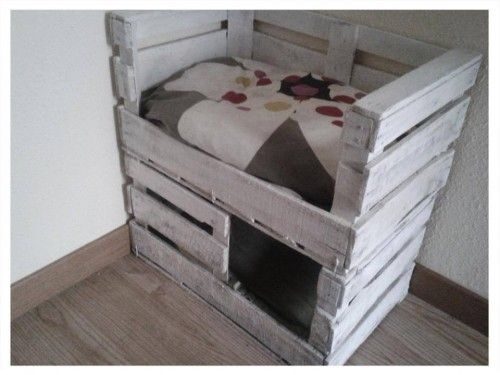 Explora las opciones más innovadoras para enriquecer el hogar de tu mascota