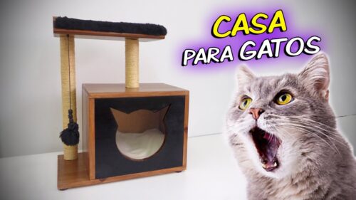 Beneficios de las casas de madera para gatos