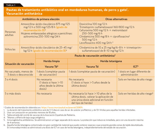 La misteriosa rapidez del veneno de las ara&ntilde;as: tiempos de reacci&oacute;n que te sorprender&aacute;n