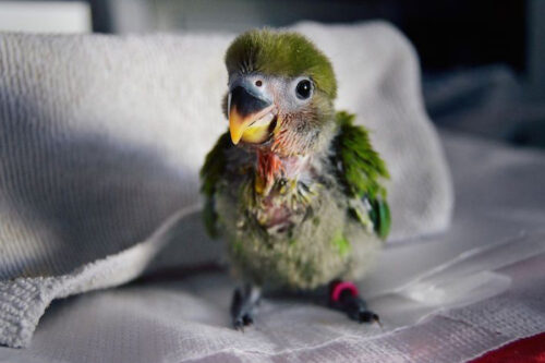 2. Seguridad del hogar