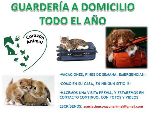 2. Alimentación adecuada