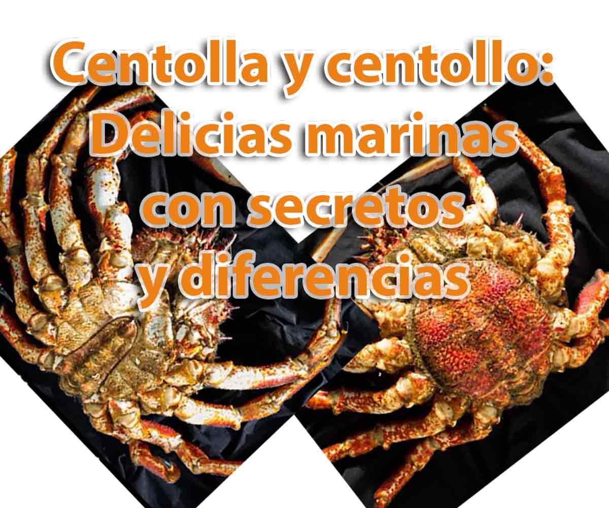 Delicias marinas: Animales de mar que se comen 1 delicias marinas animales de mar que se comen
