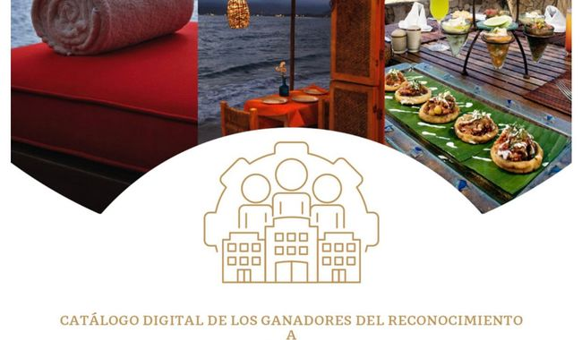 Deliciosas recetas con caracol de mar comestible: ¡sorprende a tu paladar! 1 deliciosas recetas con caracol de mar comestible sorprende a tu paladar