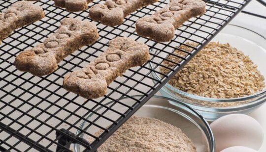 Deliciosas recetas de patas de pollo para perros: ¡sorprende a tu mascota con opciones saludables! 1 deliciosas recetas de patas de pollo para perros sorprende a tu mascota con opciones saludables47