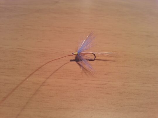 La cruda realidad: el canibalismo en el mundo acu&aacute;tico