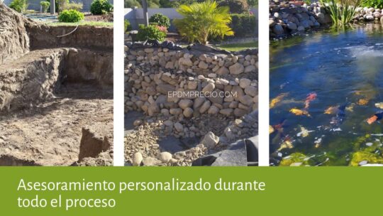 El mejor hábitat para tus tortugas: Estanques prefabricados de calidad 2 el mejor habitat para tus tortugas estanques prefabricados de calidad29