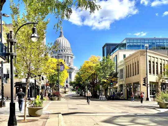 El sorprendente secreto del sueño felino: horas de descanso que te dejarán boquiabierto 2 el sorprendente secreto del sueno felino horas de descanso que te dejaran boquiabierto20