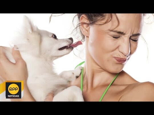 Diferenciando entre verrugas y garrapatas: una gu&iacute;a para due&ntilde;os de mascotas preocupados