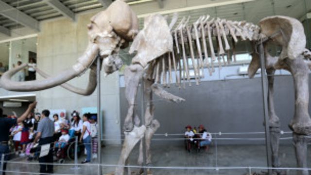 ¿Existen los unicornios? Descubre la verdad aquí 1 existen los unicornios descubre la verdad aqui