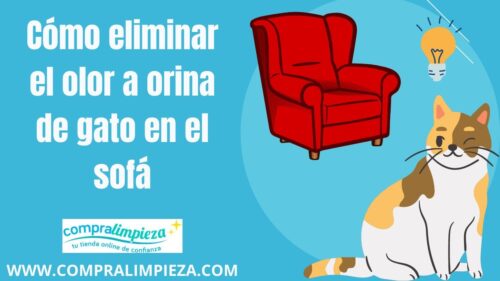 1. Limpieza regular