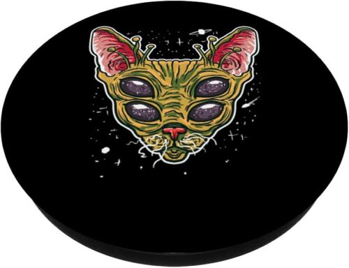 gatos