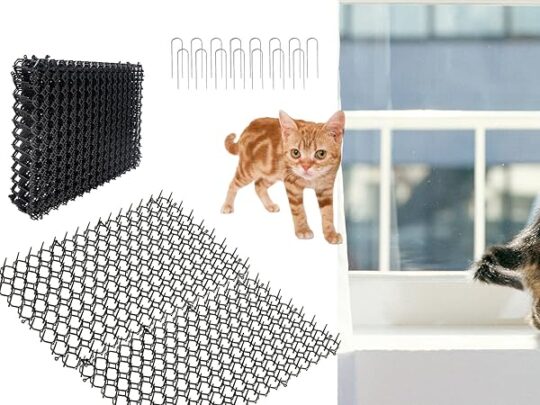 Guía completa: Cómo cerrar tu patio para gatos de manera efectiva 2 guia completa como cerrar tu patio para gatos de manera efectiva46