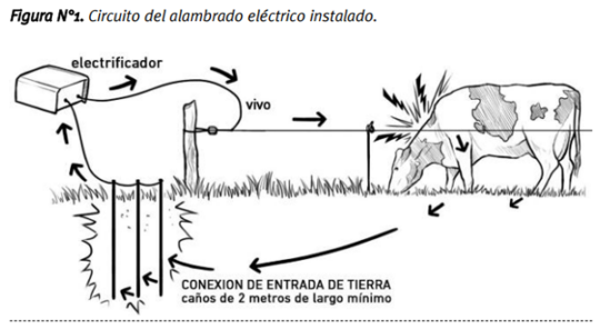Guía completa: Cómo instalar un esquema pastor eléctrico de forma segura 2 guia completa como instalar un esquema pastor electrico de forma segura72