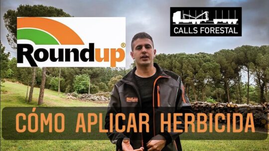 La soluci&oacute;n completa para la salud intestinal de tu mascota: Endogard Plus