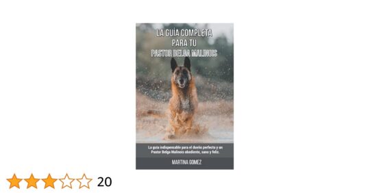 Consejos prácticos para iniciar la educación de tu nuevo cachorro
