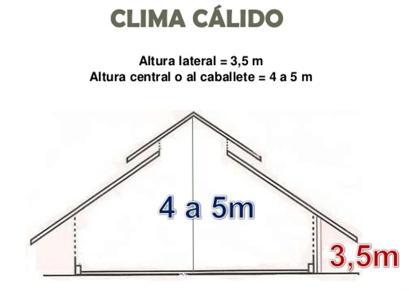 Guía completa para criar pavos reales: consejos y cuidados 1 guia completa para criar pavos reales consejos y cuidados