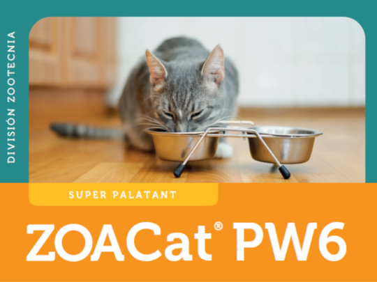 Divi&eacute;rtete coloreando con los encantadores Gatos Britto