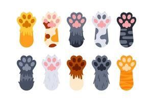 Beneficios de Usar Vectores de Patas de Gato