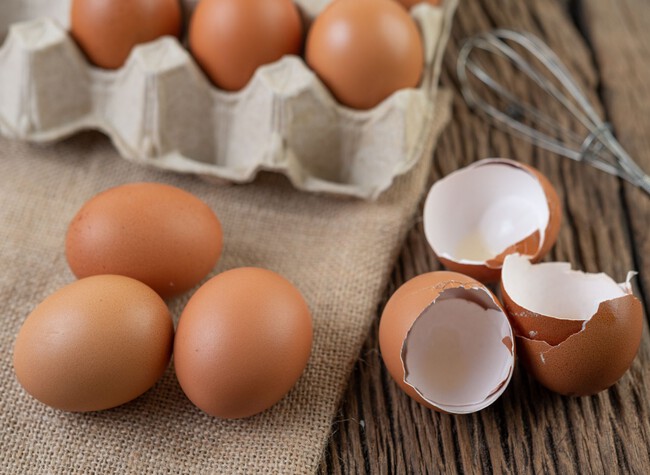 Huevos de perdiz: delicioso manjar para tu paladar 1 huevos de perdiz delicioso manjar para tu paladar