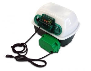 Incubadoras de huevos baratas: la mejor opción para criar aves en casa 1 incubadoras de huevos baratas la mejor opcion para criar aves en casa