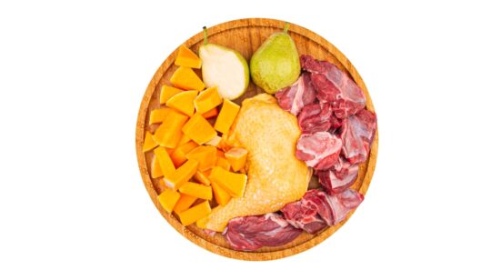 La guía definitiva de comida BARF para gatos: una alimentación natural y saludable 1 la guia definitiva de comida barf para gatos una alimentacion natural y saludable71