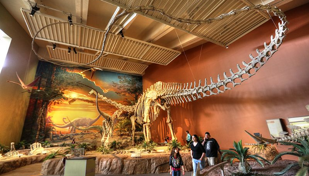 La increíble longitud del dinosaurio Diplodocus: todo sobre su tamaño 1 la increible longitud del dinosaurio diplodocus todo sobre su tamano