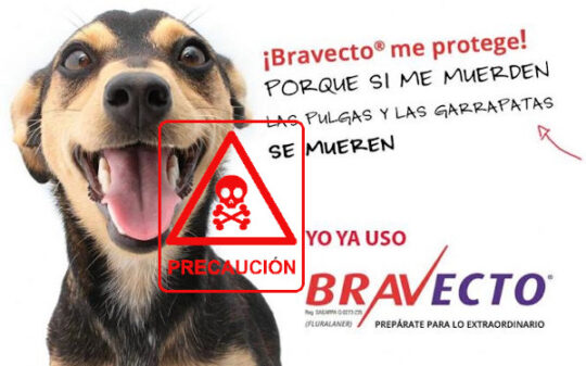 La pipeta Osspret: Una excelente opción para el cuidado de tu mascota 1 la pipeta osspret una excelente opcion para el cuidado de tu mascota88