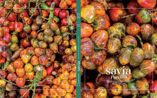 Protegiendo a la joya de los Andes: el invaluable oso de anteojos