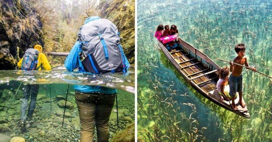 Los 10 caballos más hermosos del planeta que te dejarán sin aliento 3 La majestuosidad en cuatro patas: conoce al coloso equino que ha dejado huella en la historia