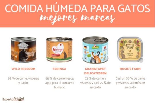 Los 5 mejores alimentos húmedos para gatos: ¡nutrición de calidad para tu felino! 3 La alimentación perfecta para consentir a tu gato: Feringa comida húmeda que adorarán