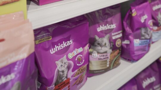Los 5 mejores alimentos húmedos para gatos: ¡nutrición de calidad para tu felino! 2 los 5 mejores alimentos humedos para gatos nutricion de calidad para tu felino87