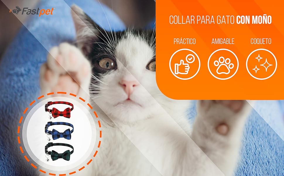los encantadores gatos grises claros todo lo que debes saber