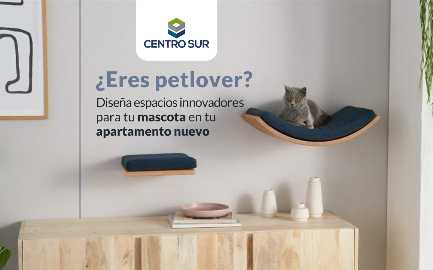 los encantadores gatos grises peludos todo lo que debes saber