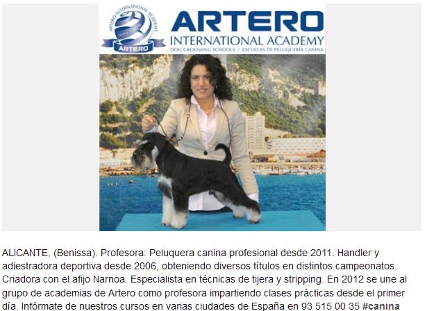 Los mejores cortes para tu Yorkshire: guía práctica del experto veterinario 1 los mejores cortes para tu yorkshire guia practica del experto veterinario