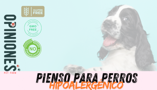 Los mejores piensos hipoalergénicos para perros alérgicos 3 Opciones de alimentación saludables para perros con alergias