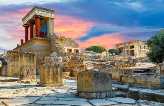 Los secretos de la musaraña: todo lo que debes saber sobre esta fascinante criatura 2 los secretos de la musarana todo lo que debes saber sobre esta fascinante criatura37