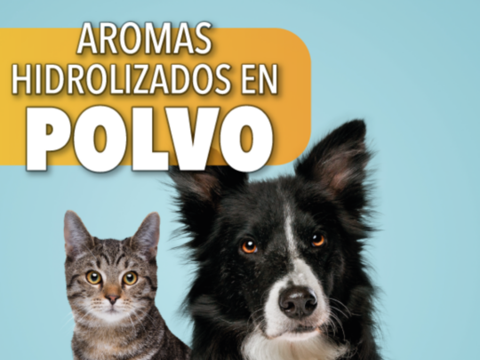 Los secretos del Border Collie: Cómo lidiar con las manchas 3 Domando el ímpetu: Consejos para controlar el tirón en tu Border Collie