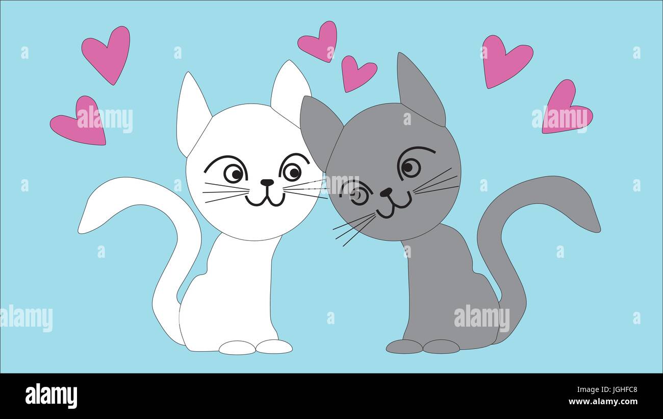 los secretos del encantador gato blanco de pelo largo