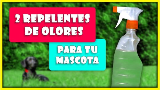 Los secretos del repelente para perros que realmente funciona 2 los secretos del repelente para perros que realmente funciona48