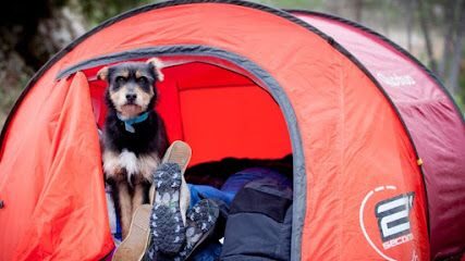 Mejora la experiencia de tu perro en una pichera residencia canina 2 mejora la experiencia de tu perro en una pichera residencia canina97
