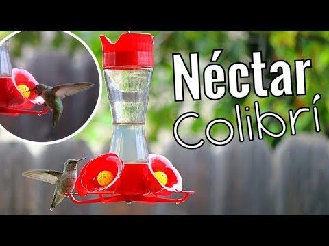 5. Ejecuci&oacute;n y seguimiento